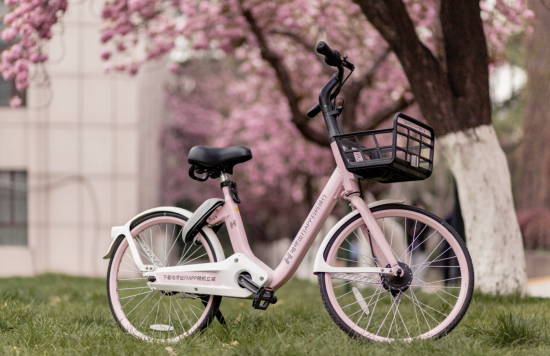 图：哈啰单车推出樱花粉色。