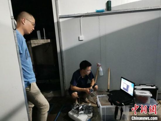 上海这群“新”农人扎根郊区3年 攻克陆地养虾技术难关