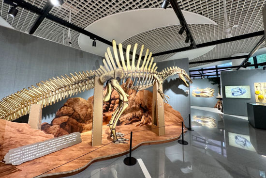 恐龙复活记——重返恐龙时代互动体验展。 /王笈 摄