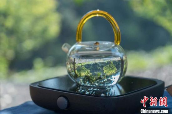   上海创新启动 “市民健康茶饮文化节”，希望引导民众健康喝茶。上海市健康促进中心供图